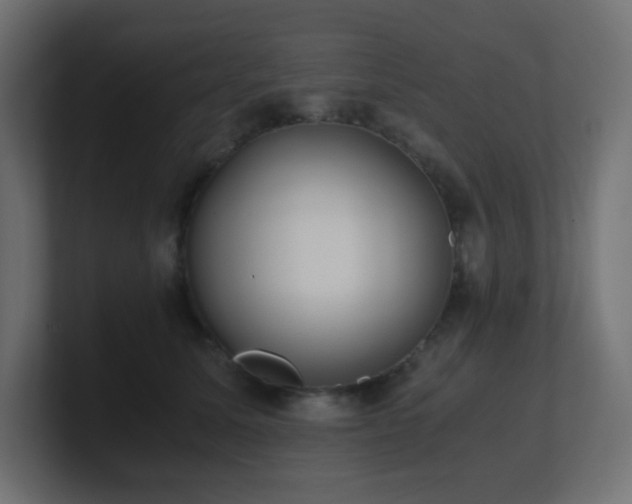 X0000100940611200806241429