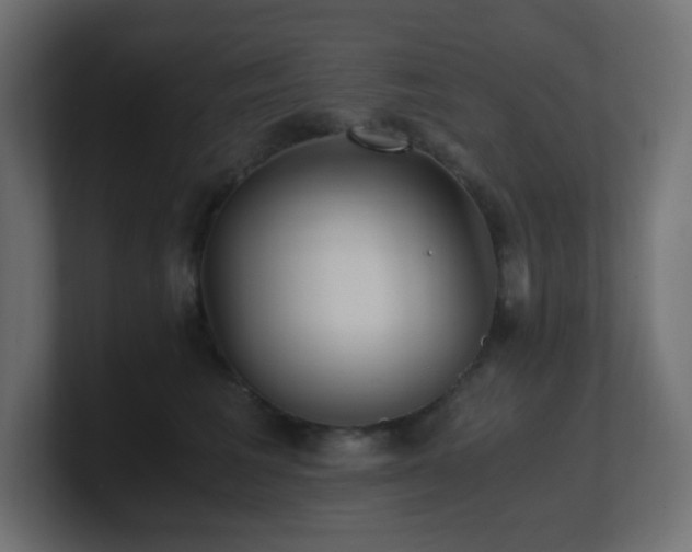 X0000100940613200806241429