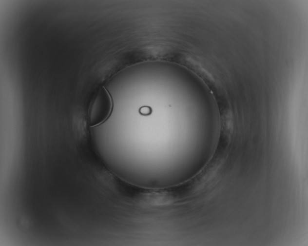 X0000100940615200806241429