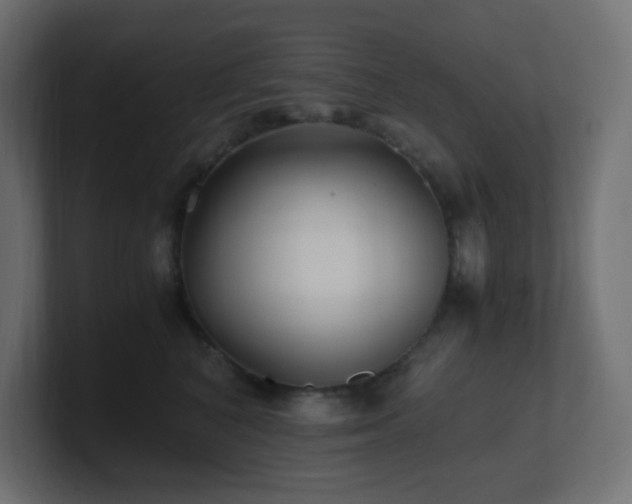 X0000100940616200806241429