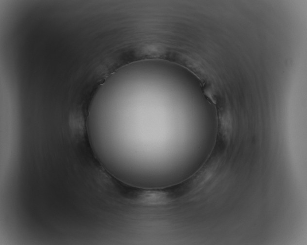 X0000100940617200806241429