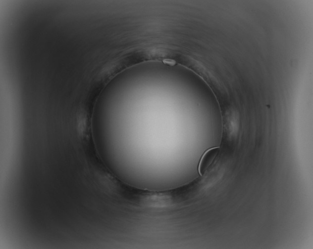 X0000100940619200806241429