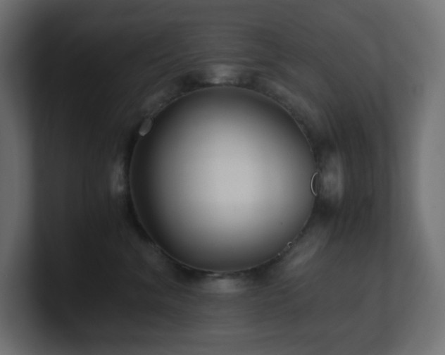 X0000100940620200806241429