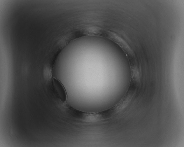 X0000100940621200806241429