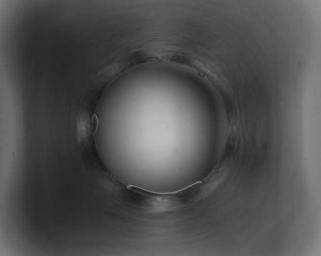 X0000100940623200806241429