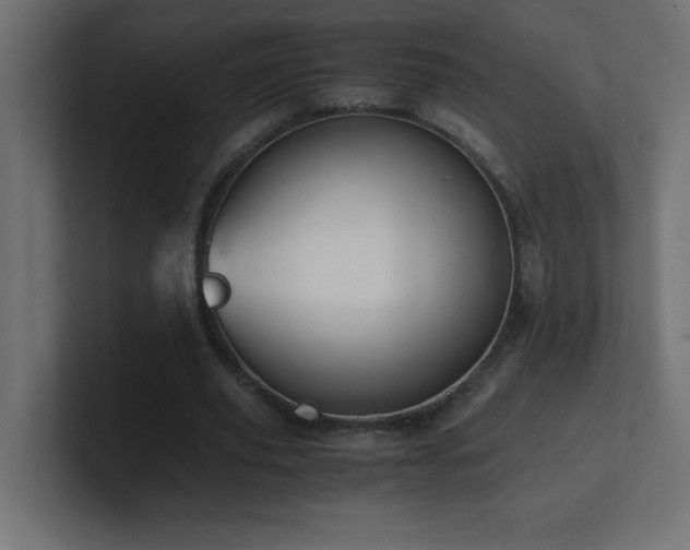 X0000100940629200806241428