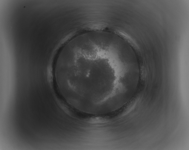 X0000100940634200806241428