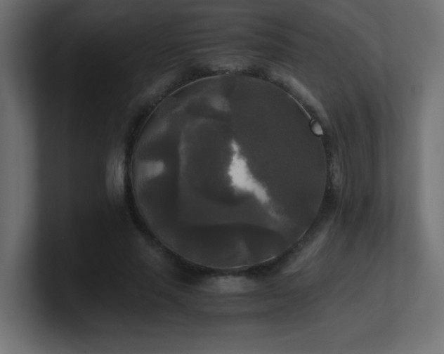 X0000100940637200806241428