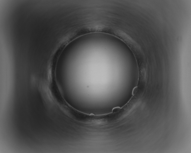 X0000100940638200806241428