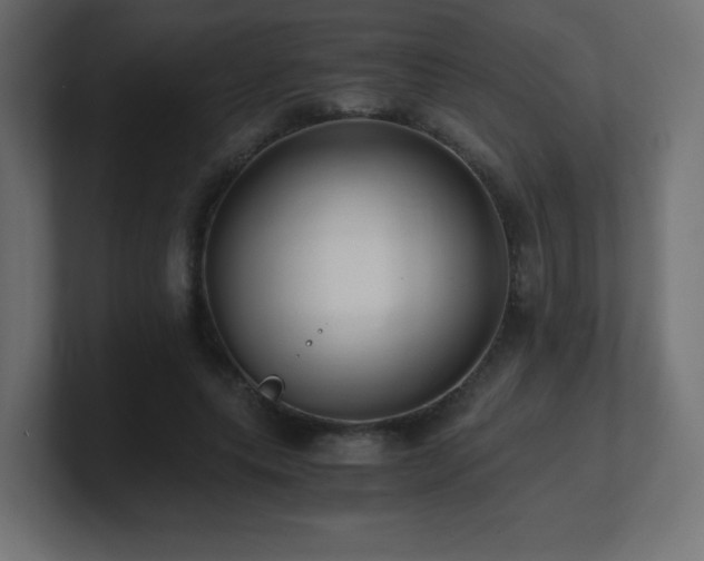 X0000100940639200806241428