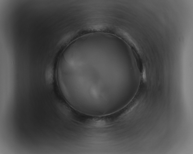 X0000100940640200806241428