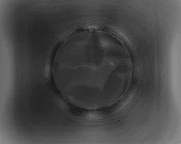 X0000100940641200806241428