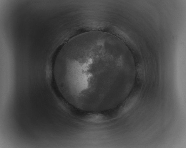 X0000100940642200806241428