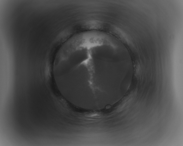 X0000100940643200806241428