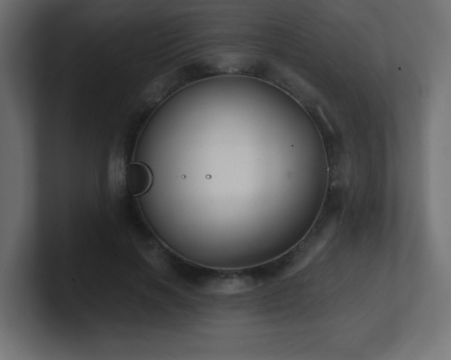 X0000100940646200806241428