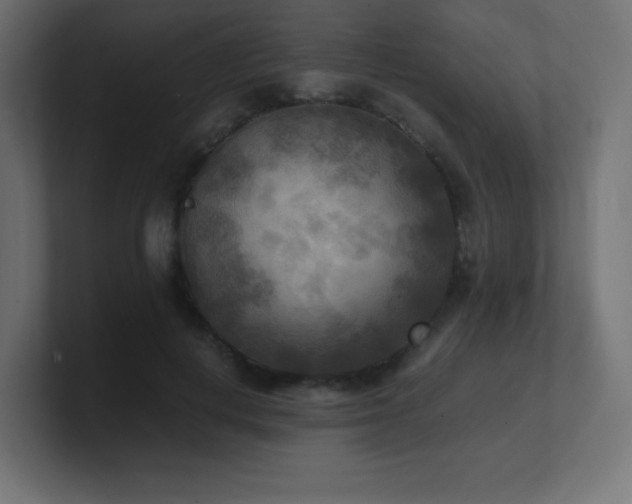 X0000100940648200806241428