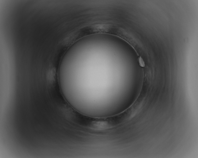 X0000100940649200806241428
