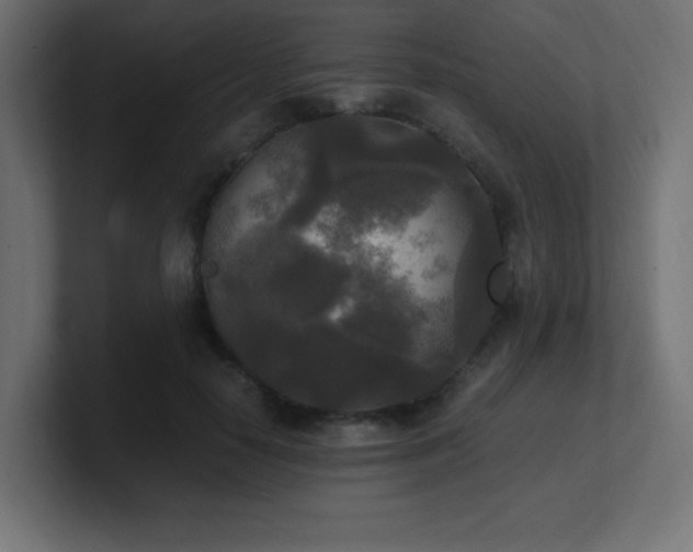 X0000100940650200806241428