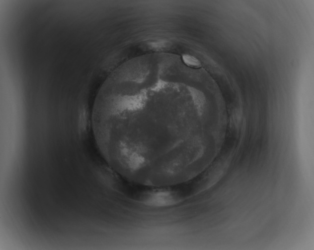 X0000100940651200806241428