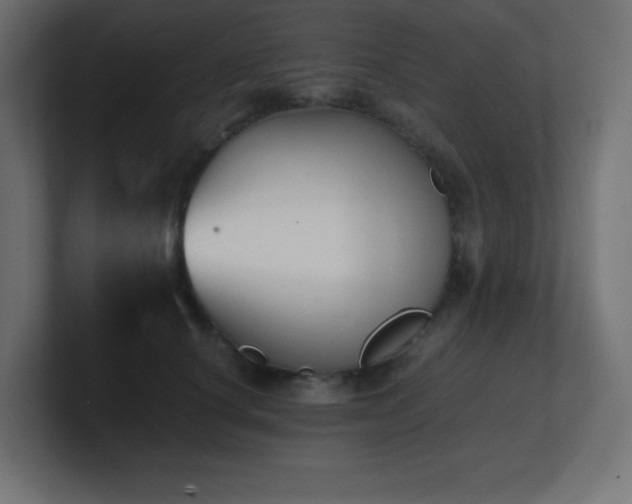 X0000100940660200806241428