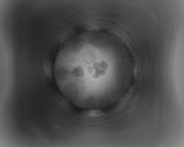 X0000100940663200806241428