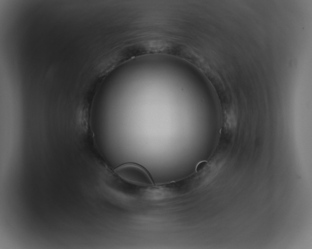 X0000100940666200806241428