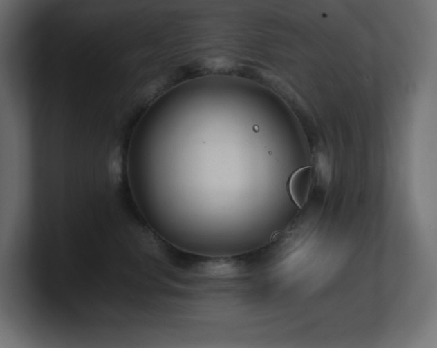X0000100940668200806241428