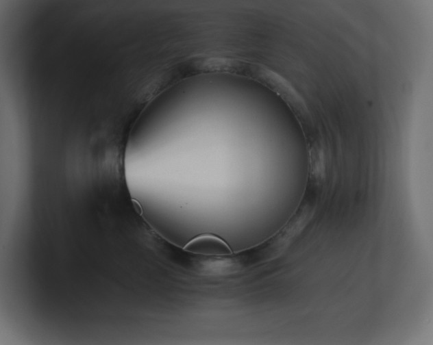 X0000100940669200806241428