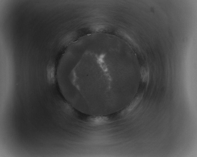 X0000100940670200806241428