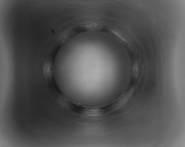 X0000100940671200806241428