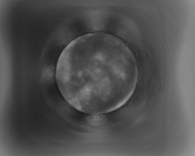 X0000100940672200806241428