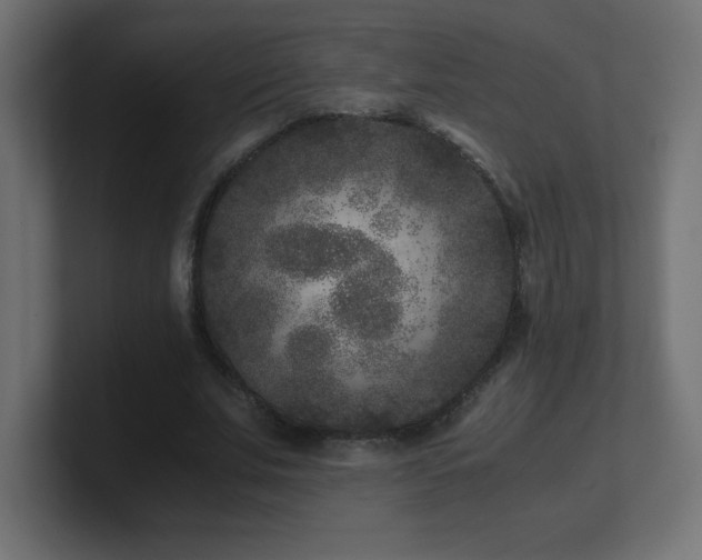 X0000100940679200806241428