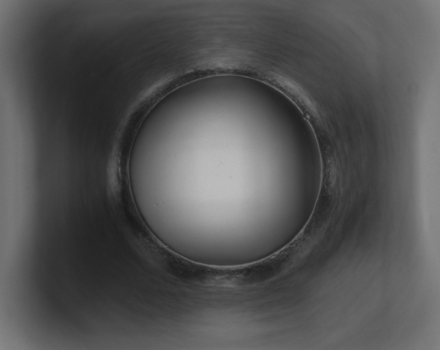 X0000100940680200806241428