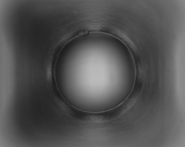X0000100940681200806241428