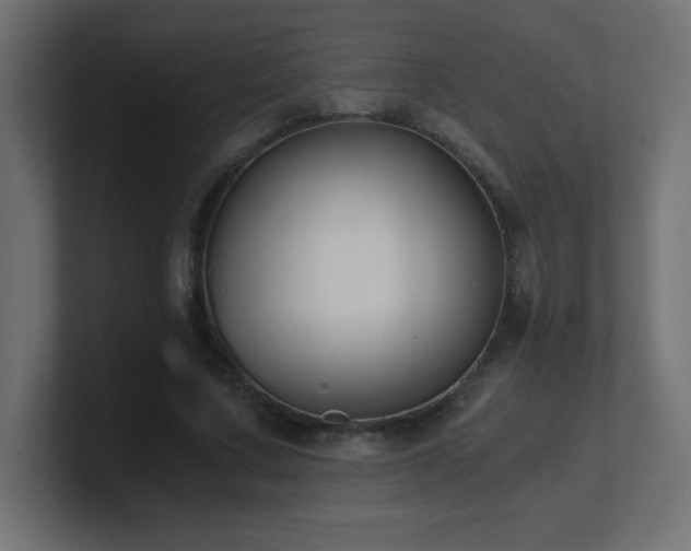X0000100940683200806241428