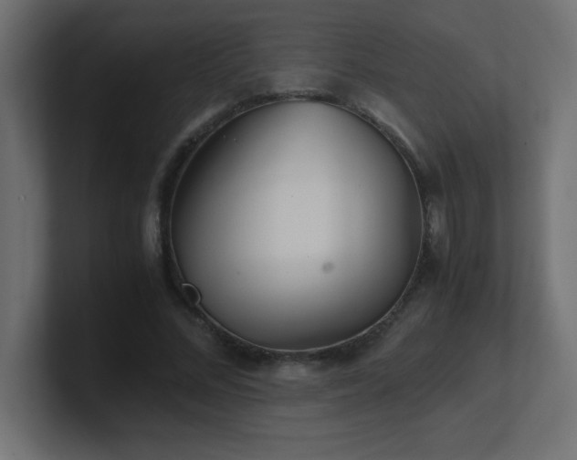 X0000100940684200806241428