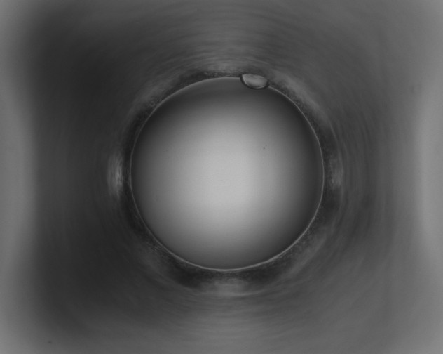 X0000100940685200806241428