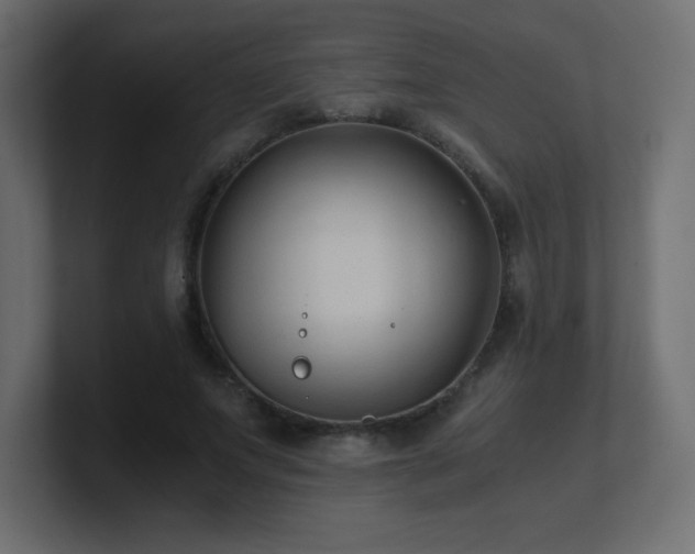X0000100940687200806241428