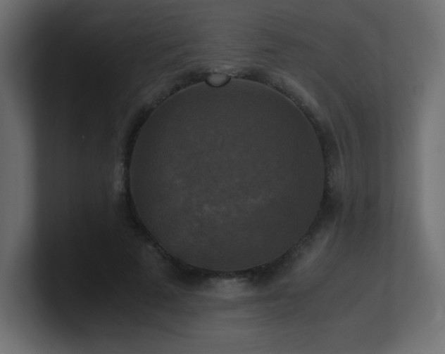 X0000100940689200806241428