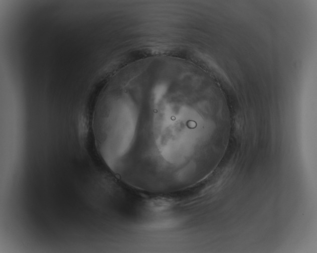 X0000100940691200806241427