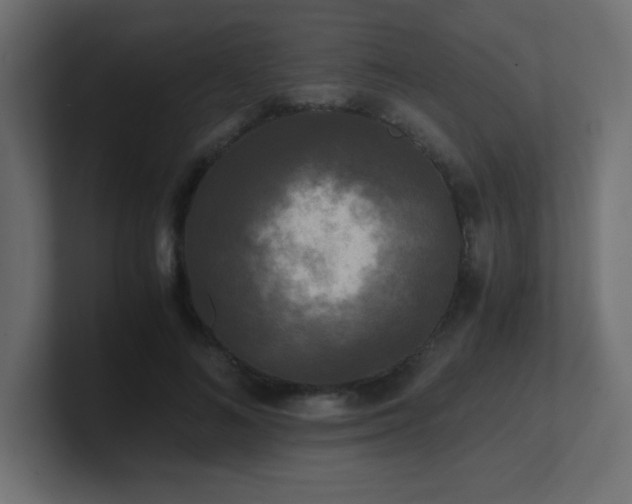 X0000100940692200806241427
