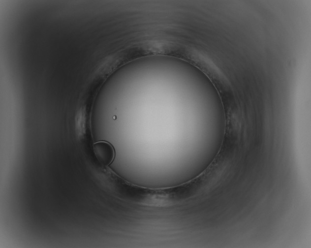 X0000100940694200806241427