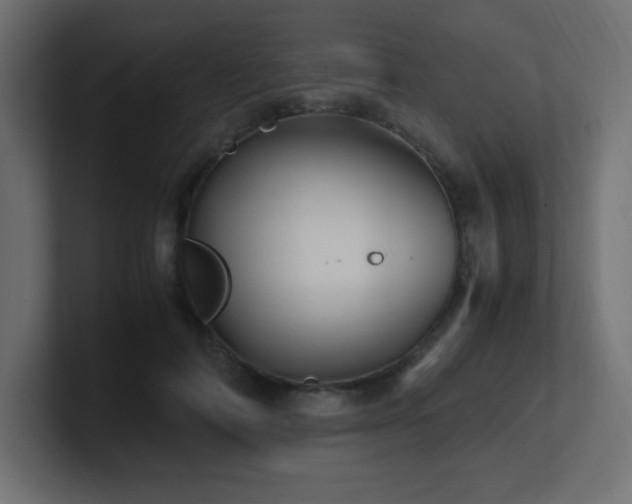 X0000100940698200806241427
