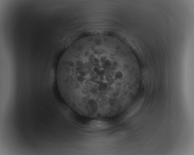 X0000100940699200806241427