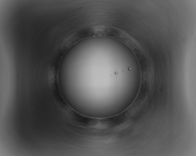 X0000100940702200806241427
