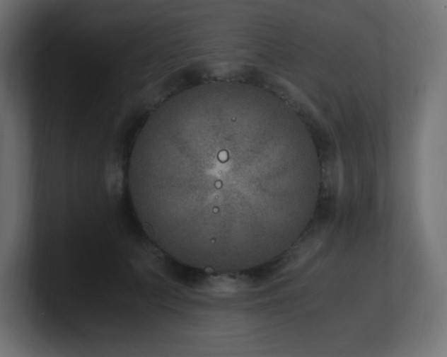 X0000100940703200806241427
