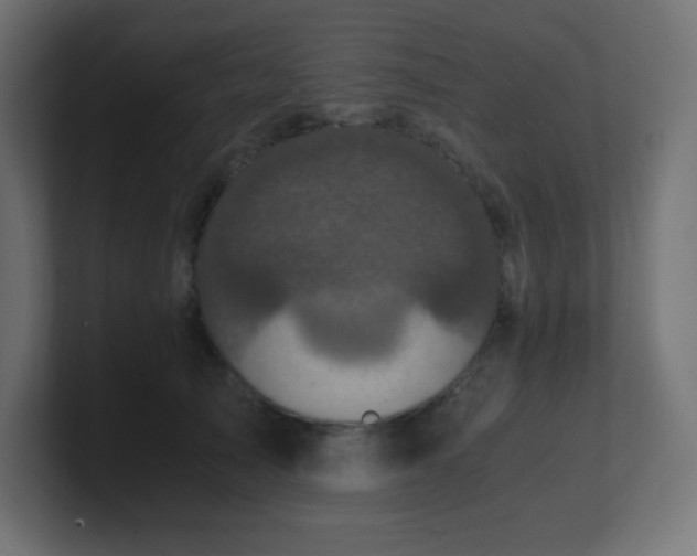 X0000100940705200806241427