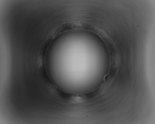 X0000100940706200806241427