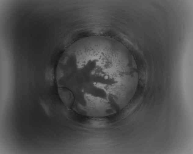 X0000100940707200806241427
