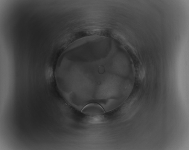 X0000100940711200806241427